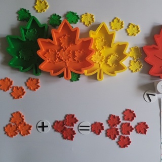 Kolorowe Liście – zestaw sensoryczno-matematyczny | Montessori