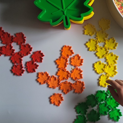 Kolorowe Liście – zestaw sensoryczno-matematyczny | Montessori