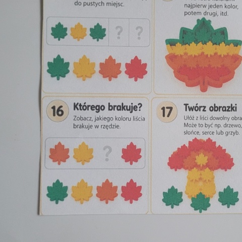 Kolorowe Liście – zestaw sensoryczno-matematyczny | Montessori