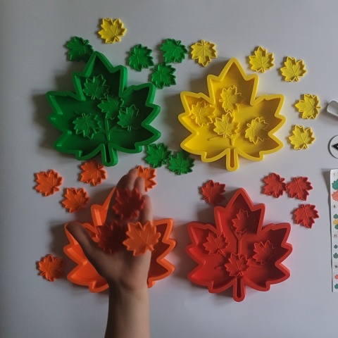 Kolorowe Liście – zestaw sensoryczno-matematyczny | Montessori