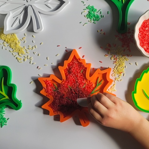 Jesienne Liście – zestaw 5 elementów | Montessori