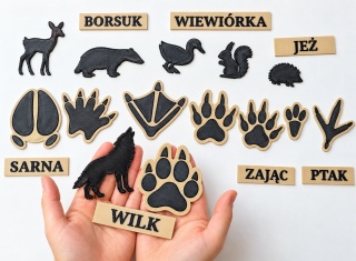 Ślady zwierząt leśnych – zestaw edukacyjny | Montessori