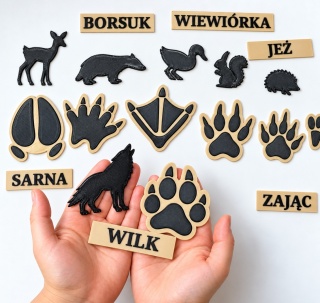 Ślady zwierząt leśnych – zestaw edukacyjny | Montessori