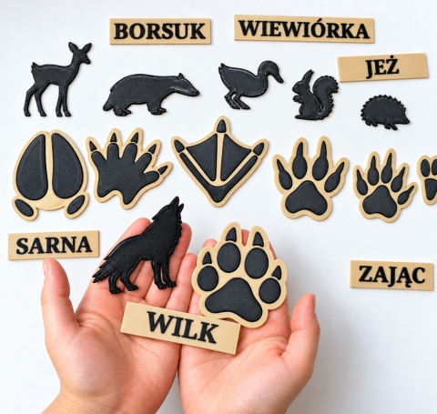 Ślady zwierząt leśnych – zestaw edukacyjny | Montessori