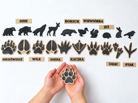 Ślady zwierząt leśnych – zestaw edukacyjny | Montessori