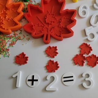 Kolorowe Liście – zestaw sensoryczno-matematyczny | Montessori
