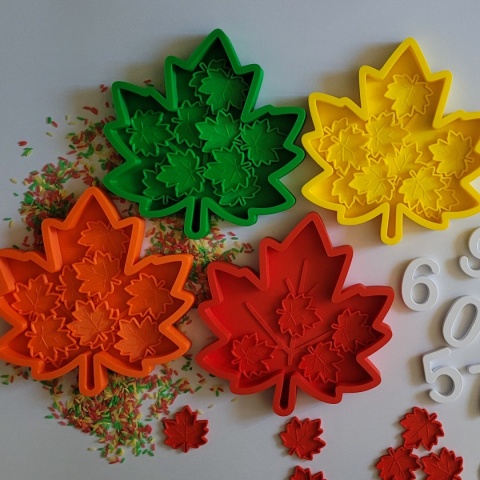 Kolorowe Liście – zestaw sensoryczno-matematyczny | Montessori