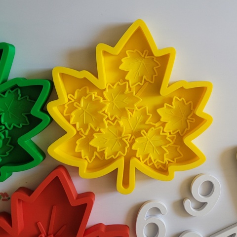 Kolorowe Liście – zestaw sensoryczno-matematyczny | Montessori