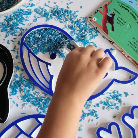 Panel Sensoryczny Antarktyda – Montessori, Motoryka i Rozwój Zmysłów